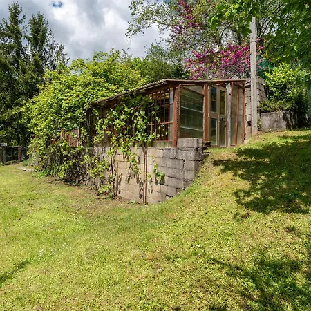 Lolli Holiday home